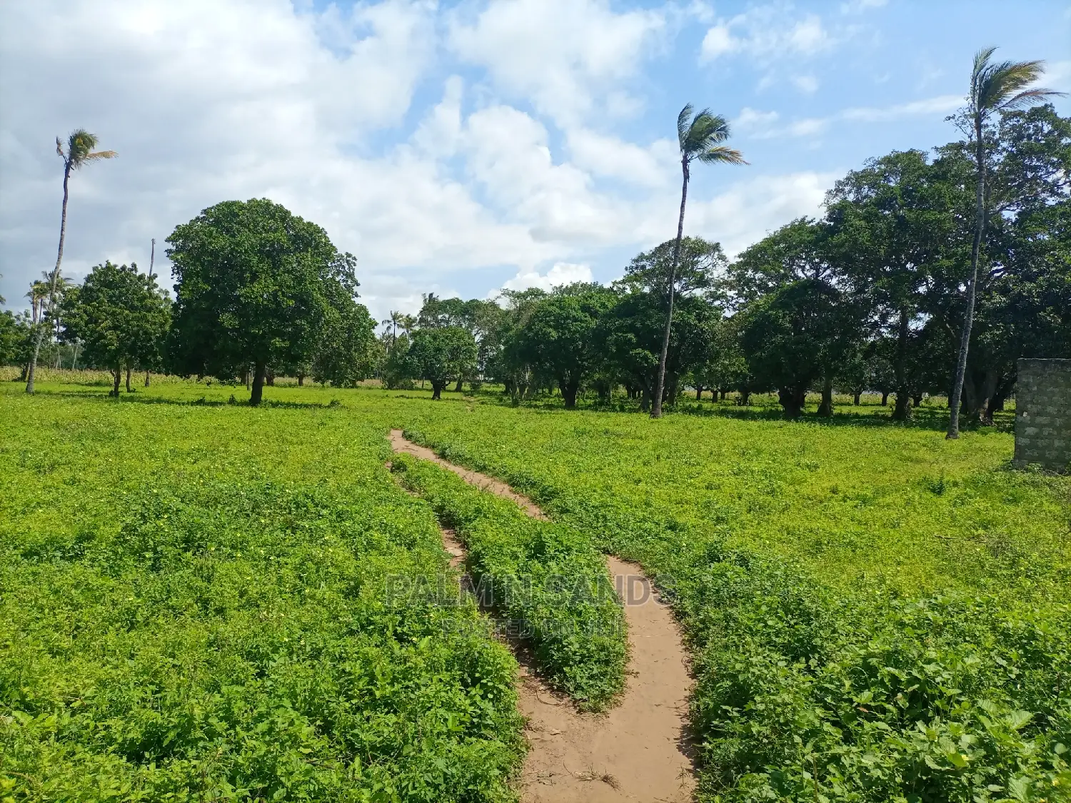 1/4 Acre Plots in Mtwapa Prime: Your Dream Property in Mtwapa