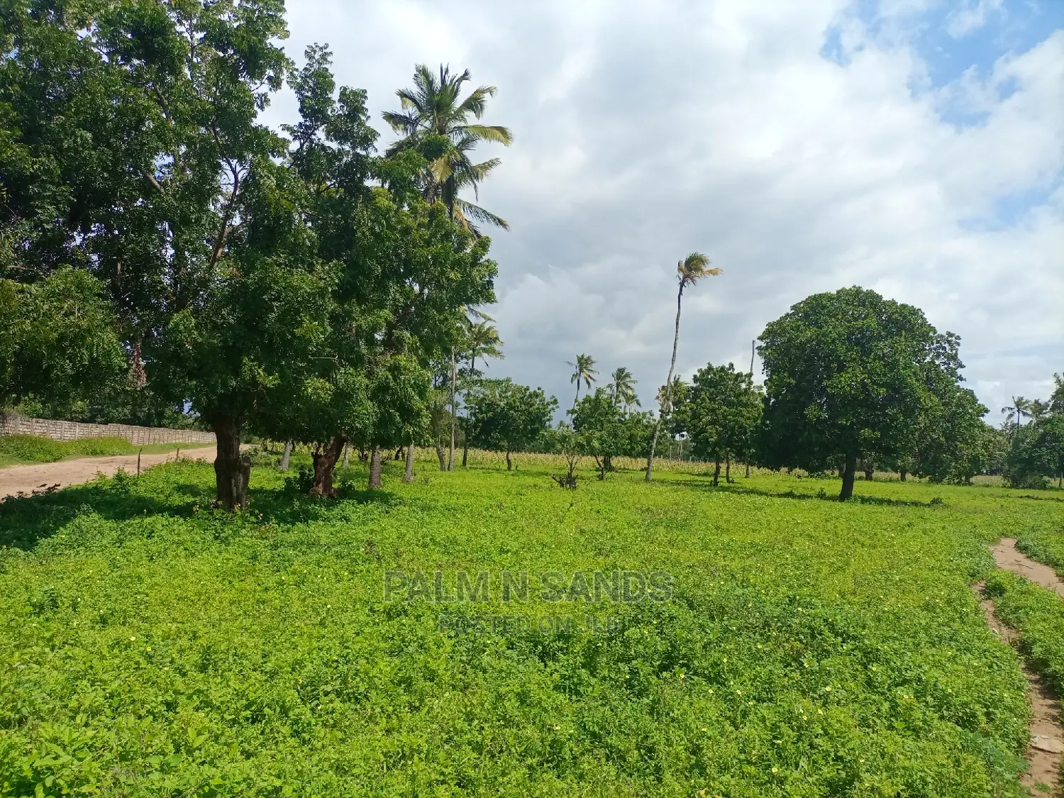 1/4 Acre Plots in Mtwapa Prime: Your Dream Property in Mtwapa