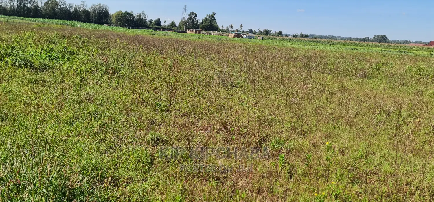 Prime Plots on Sale in Marura Kimumu Near Highway in Eldoret in Kimumu