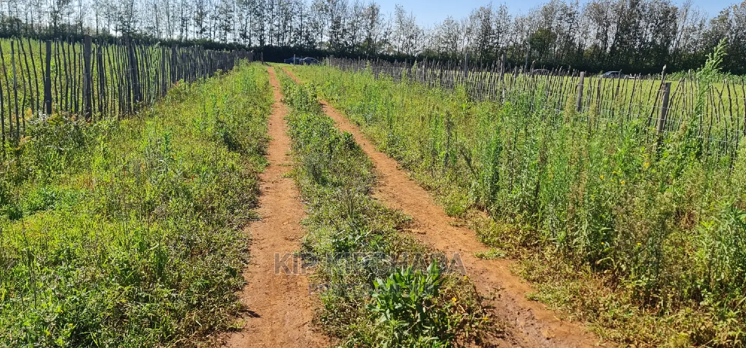 Prime Plots on Sale in Marura Kimumu Near Highway in Eldoret in Kimumu