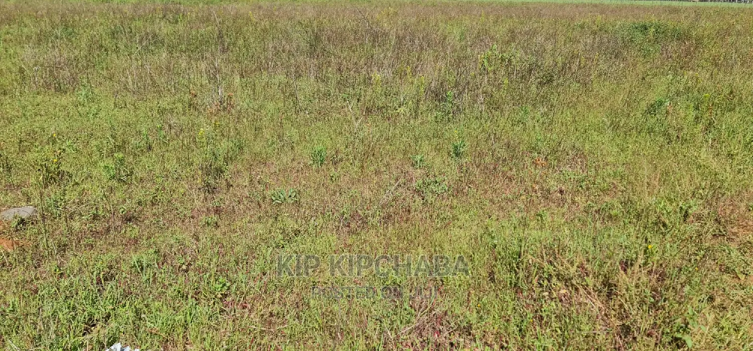 Prime Plots on Sale in Marura Kimumu Near Highway in Eldoret in Kimumu