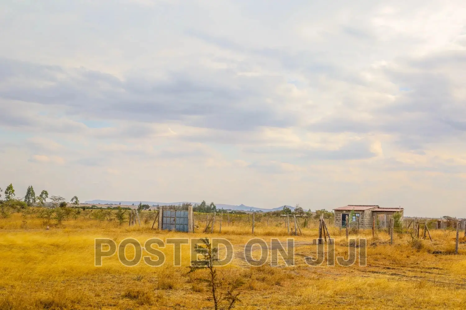 1/8 Acre Plot in Kantafu - Malaa in Malaa