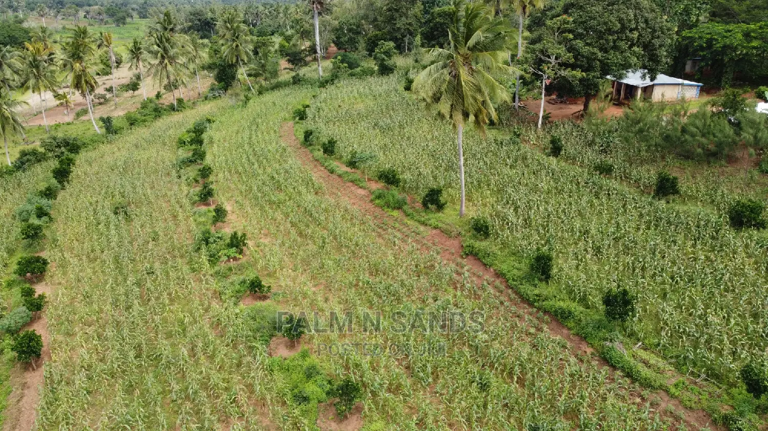 Farmland Sale in Shimbahills - Don't Miss Out! in Kubo South