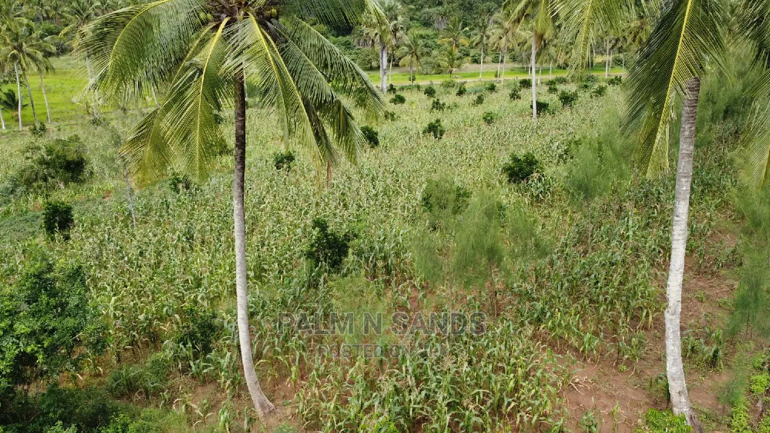 Farmland Sale in Shimbahills - Don't Miss Out! in Kubo South