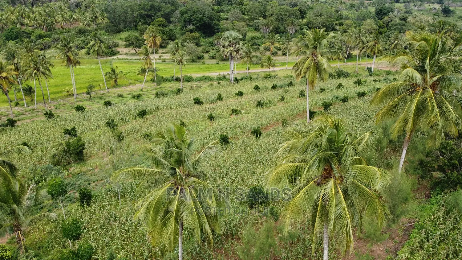 Farmland Sale in Shimbahills - Don't Miss Out! in Kubo South