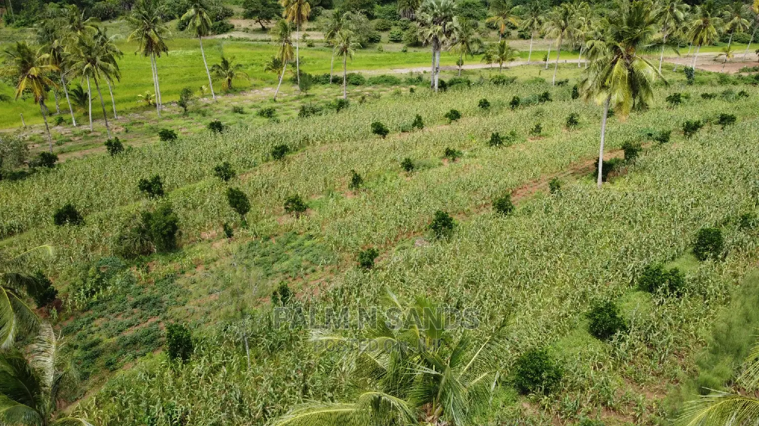 Farmland Sale in Shimbahills - Don't Miss Out! in Kubo South