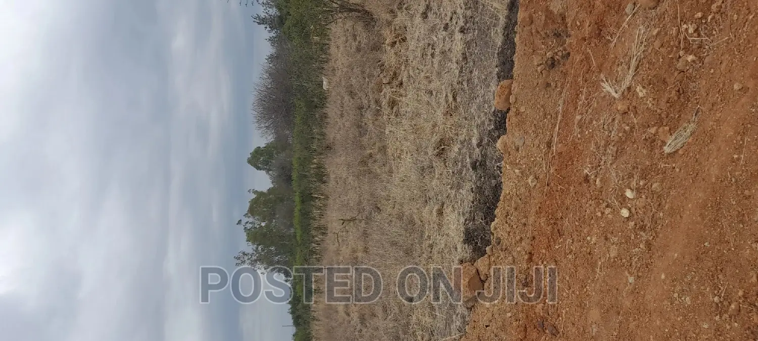 Plots for Sale in Juja
