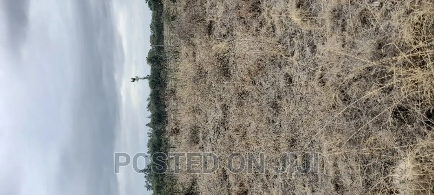 Plots for Sale in Juja
