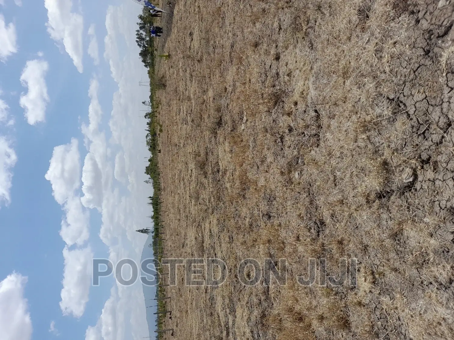 Malaa Plots Near Tarmac in Joska
