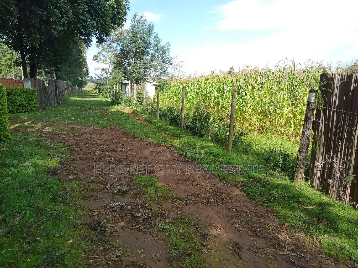 1/4 Acre Land in Mti Moja - Ideal for Your Family's New Home in Eldoret CBD