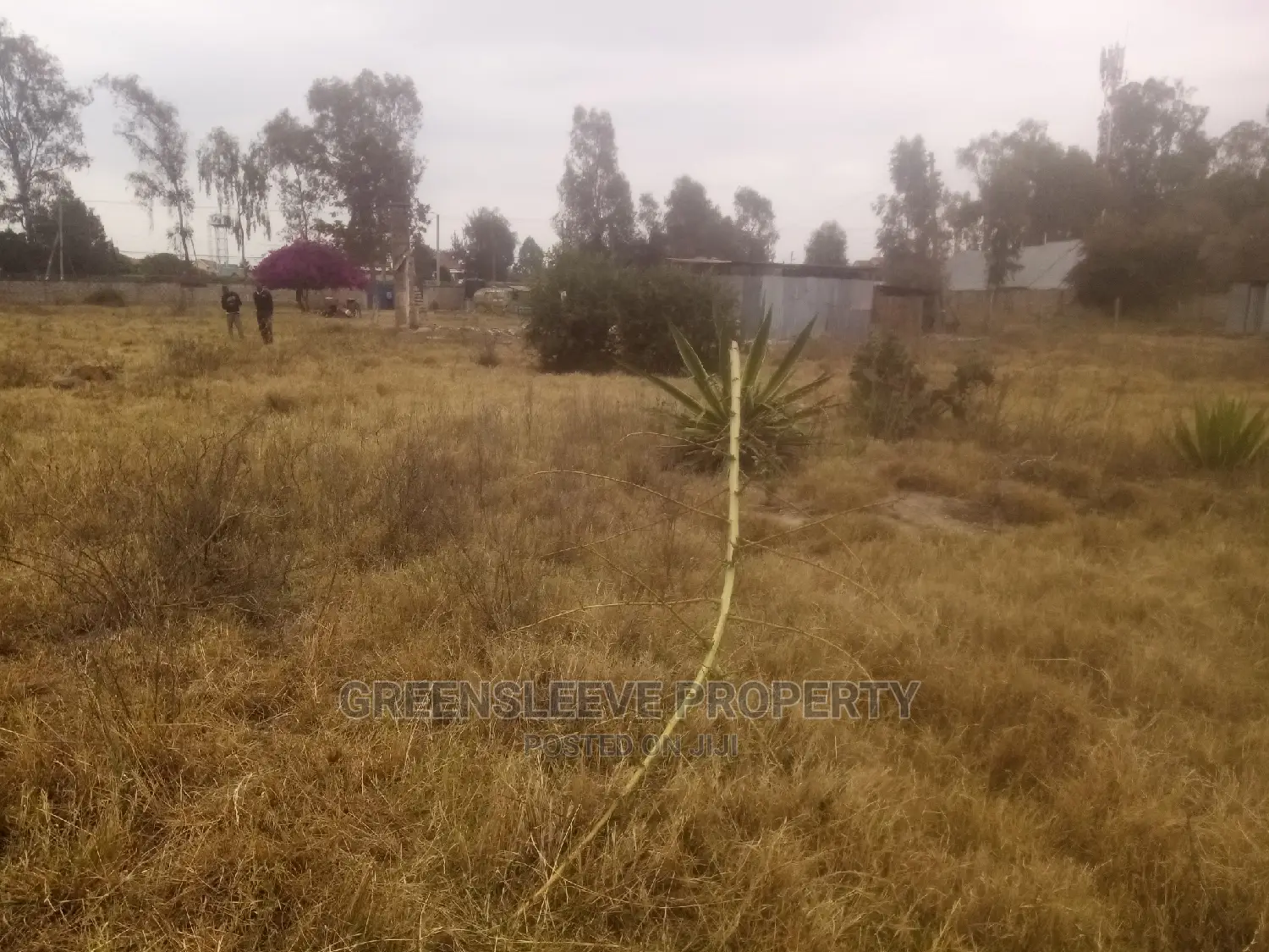 Land for Sale Bongain Karen in Karen C