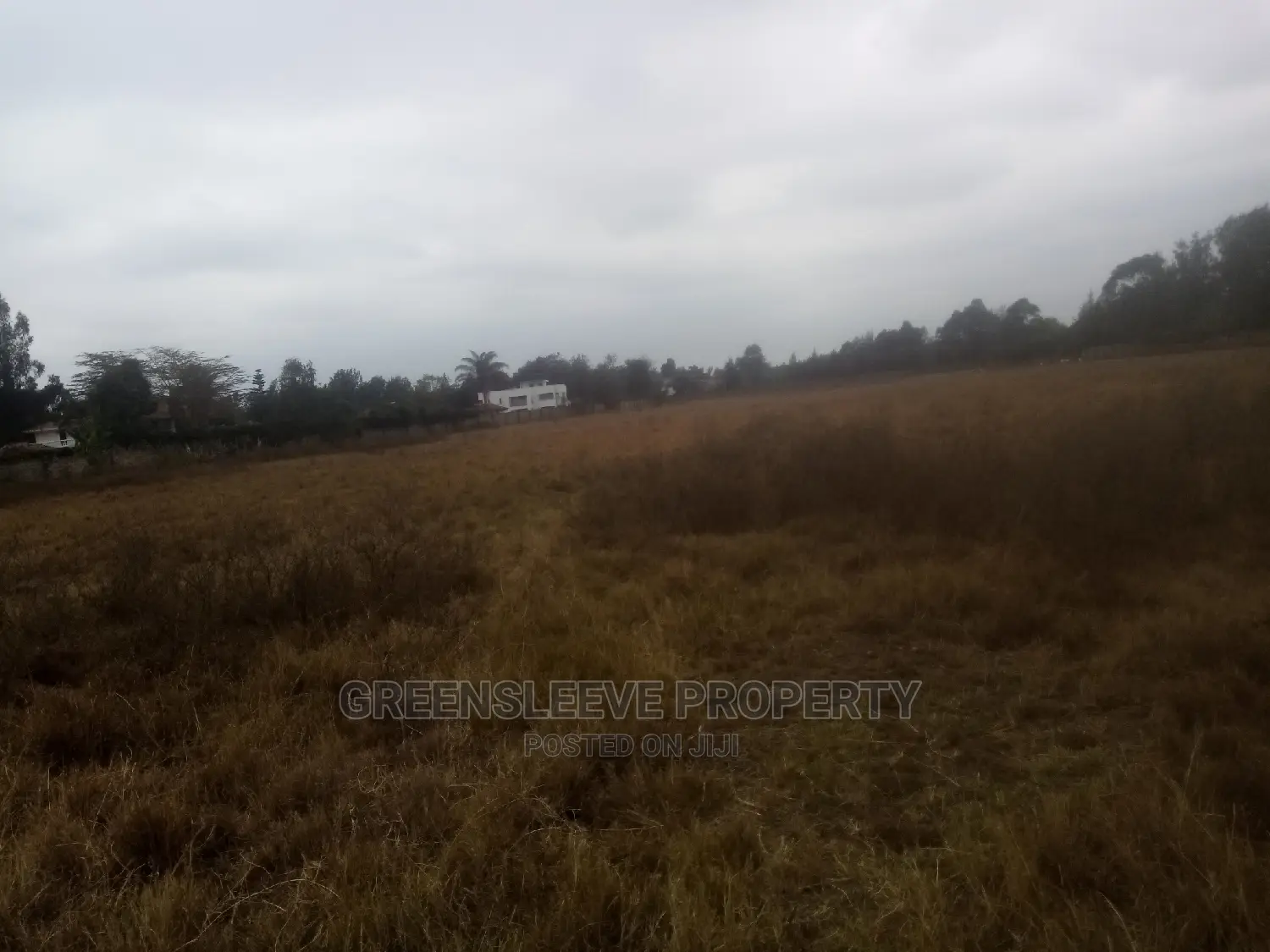 Land for Sale Bongain Karen in Karen C