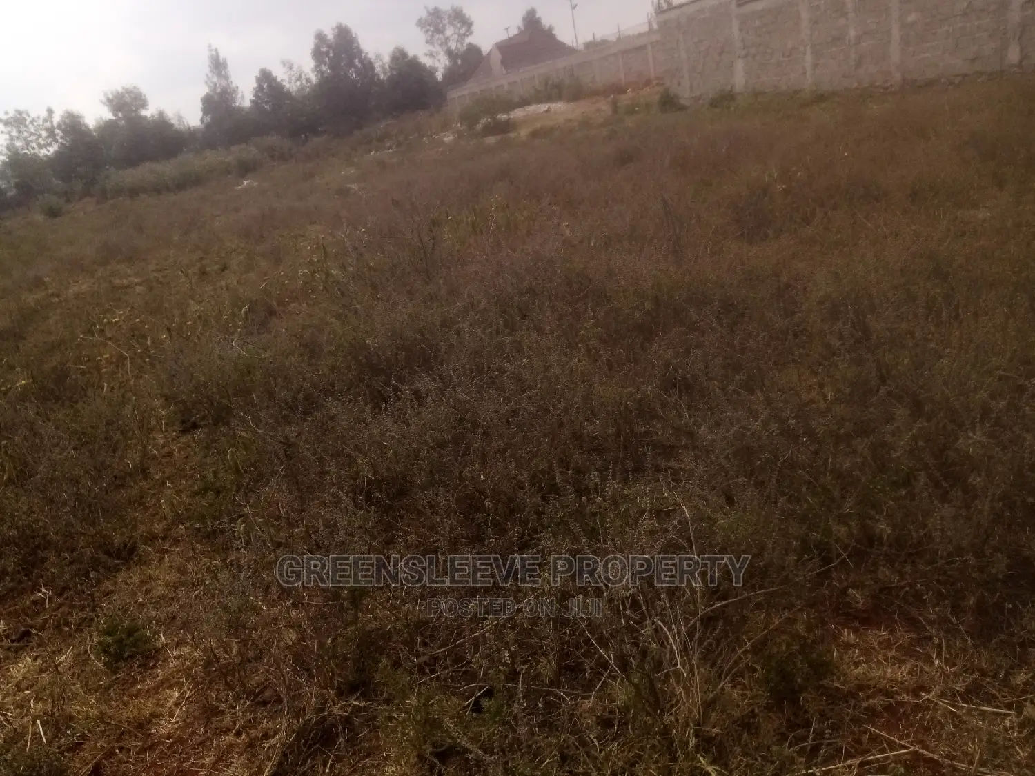 1 Acre for Sale in Hardy