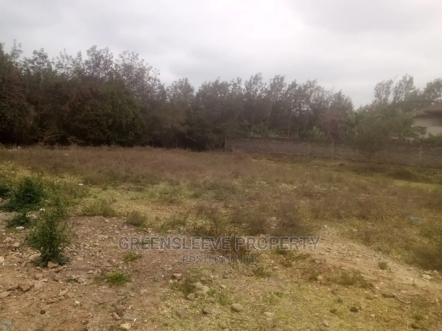 1 Acre for Sale in Hardy