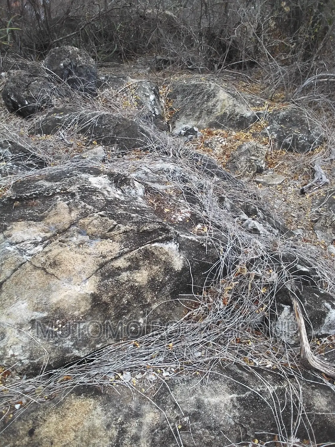 2500acres Limestone Land for Sale With Title in Mutomo