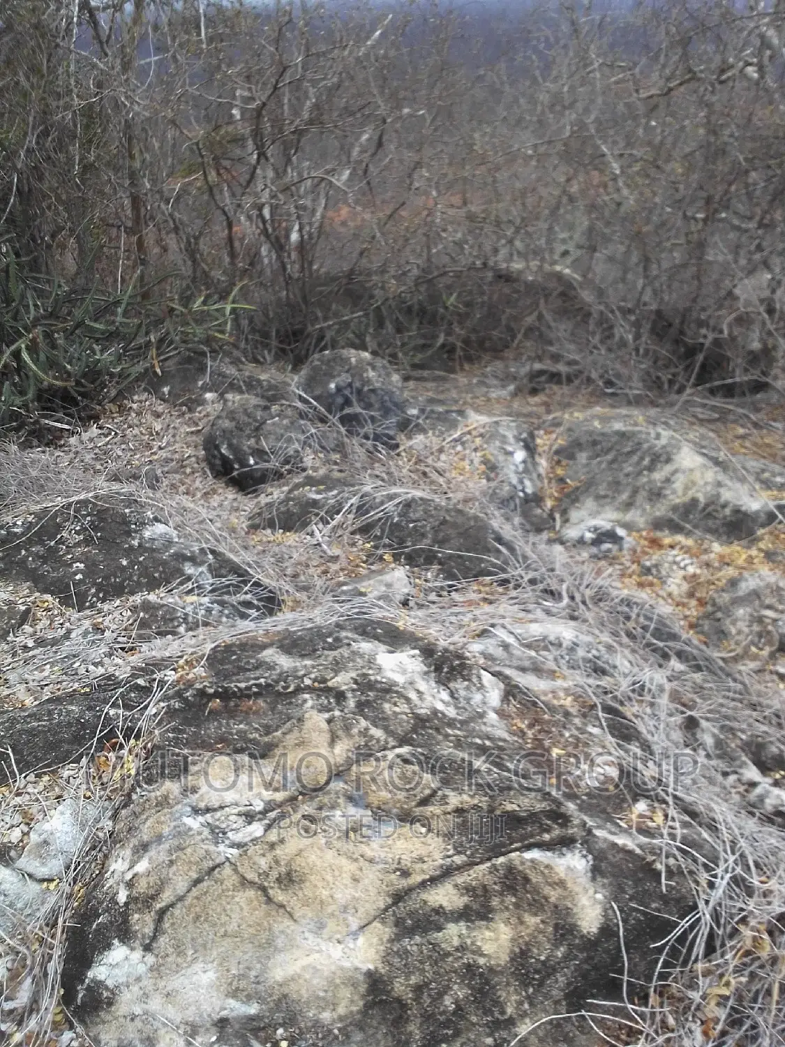 2500acres Limestone Land for Sale With Title in Mutomo