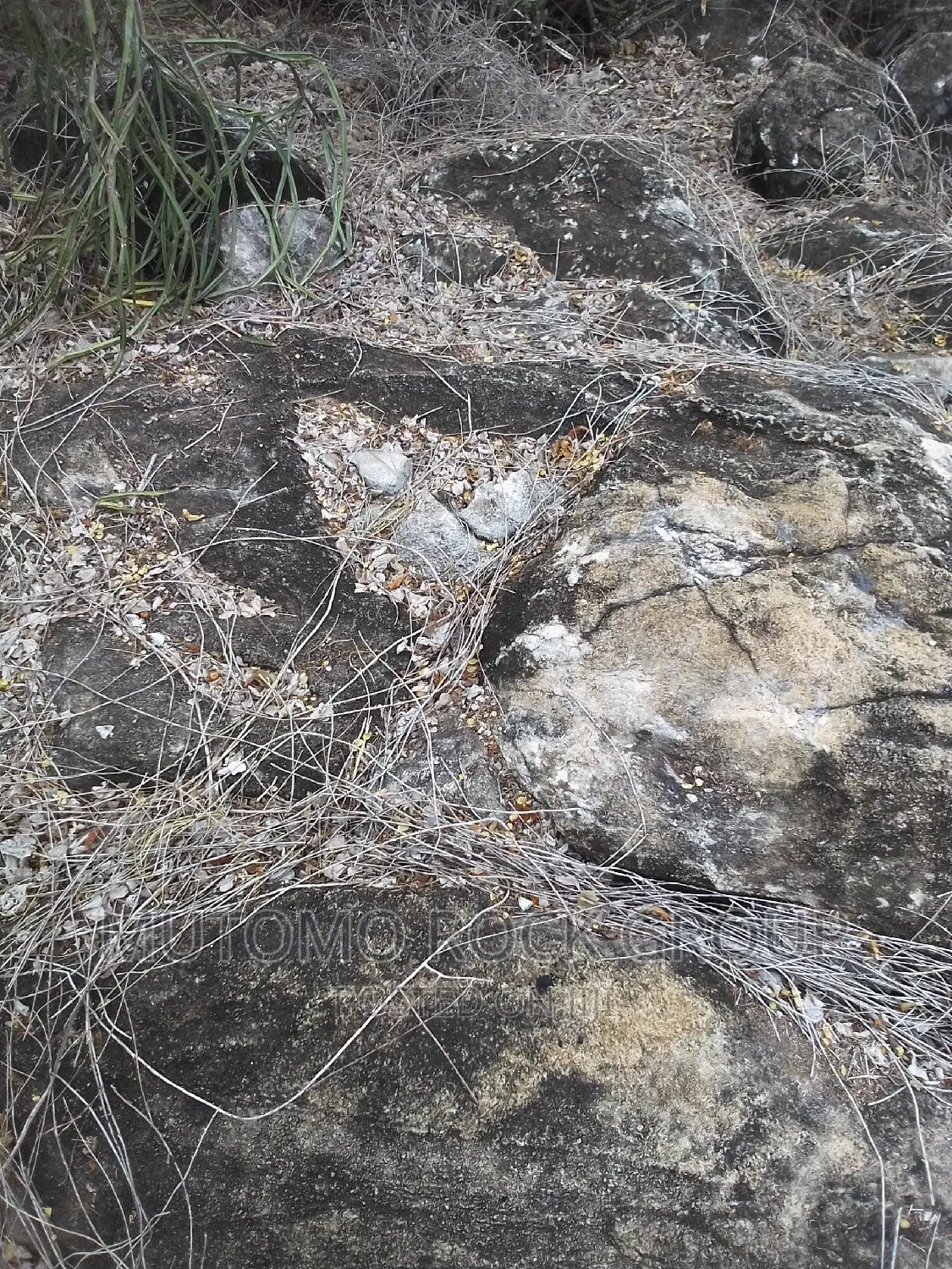 2500acres Limestone Land for Sale With Title in Mutomo