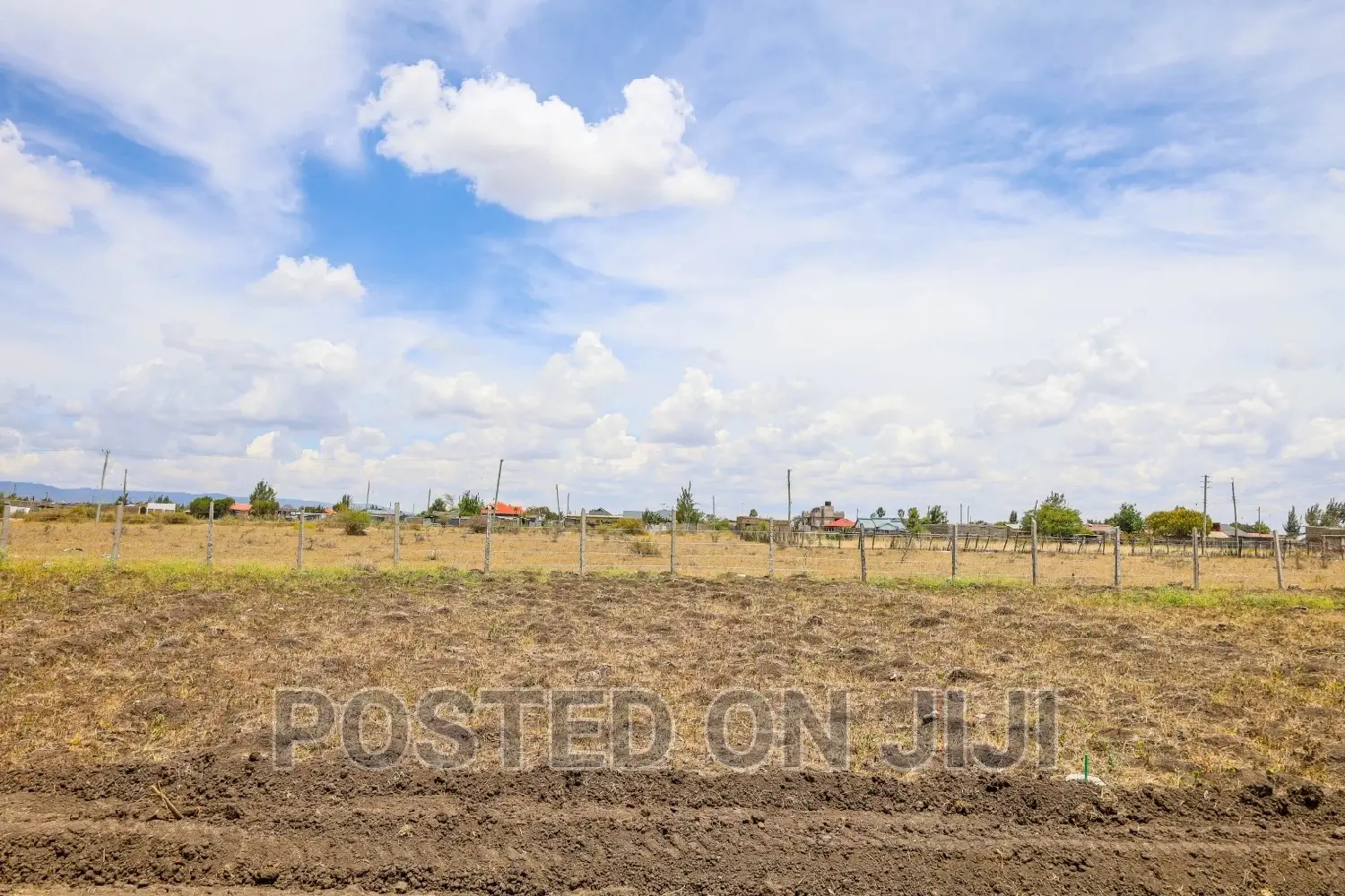 550k Prime Plot. in Malaa
