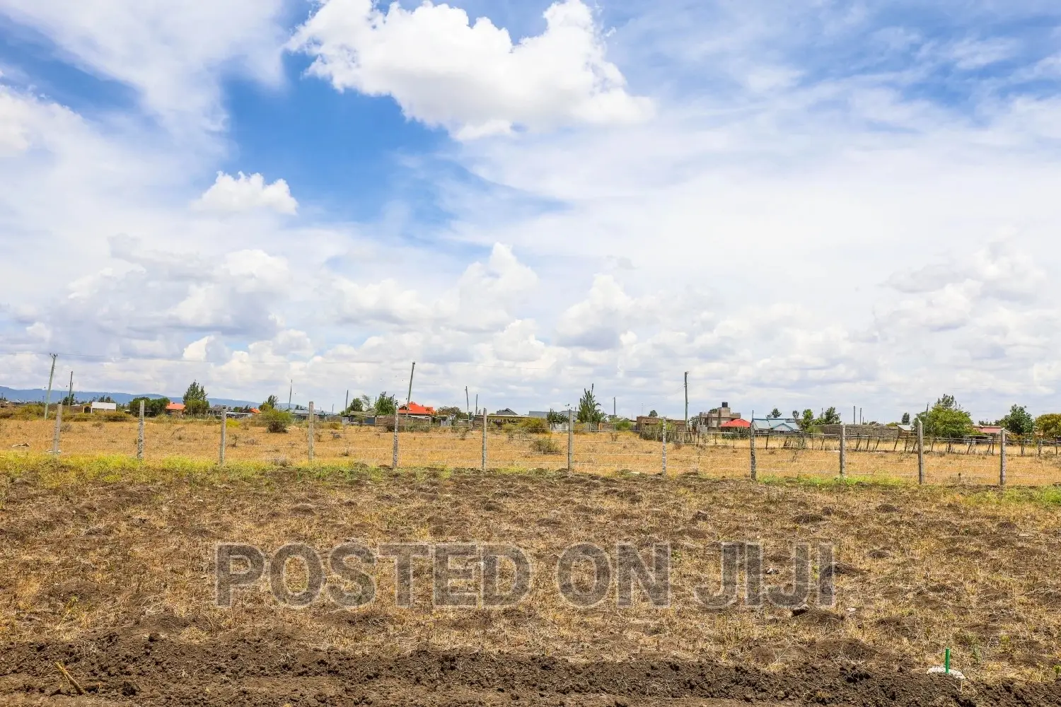 Speculative Plots. in Malaa