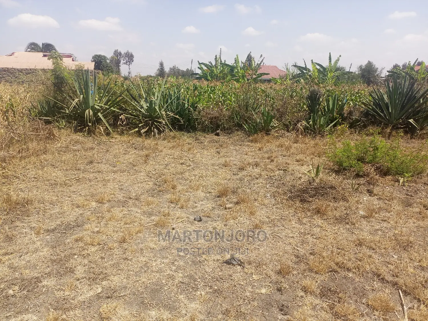 Kigajo Homes in Muthaiga Estate - Premium Living in Makongeni / Thika