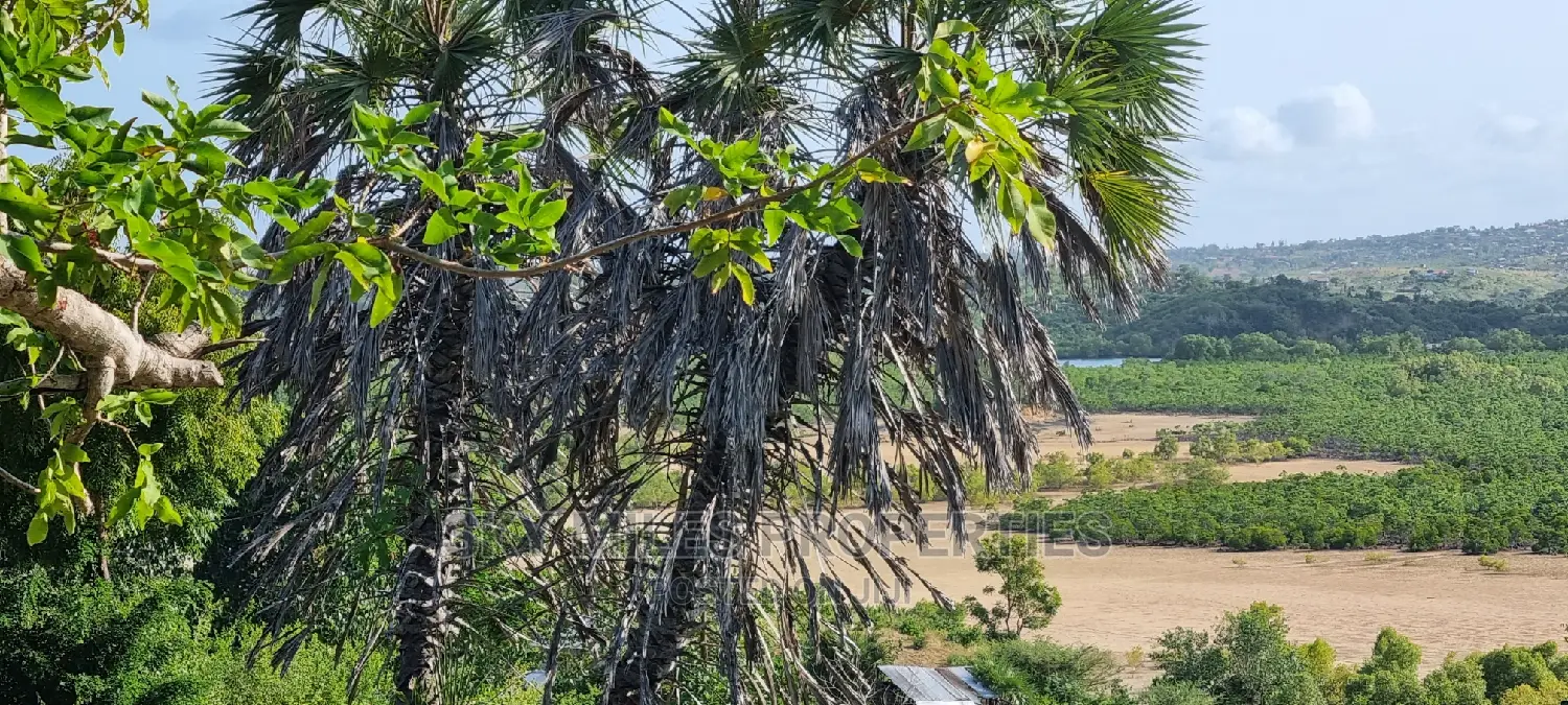 2 Acre Land for Sale: Tranquil Creek Beach Mtwapa in Mtwapa