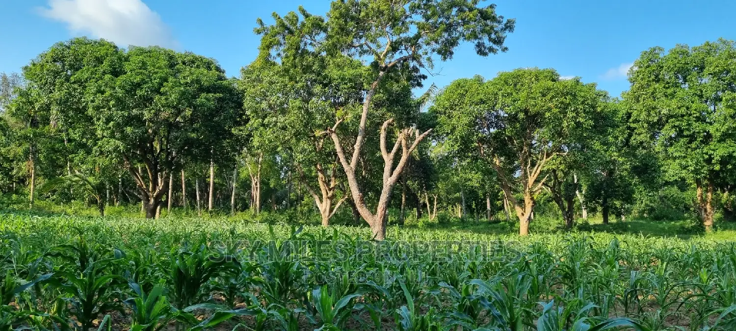 1 Acre Beachfront Land in Mtwapa - Second Row from the Shoreline for Sale in Mtwapa