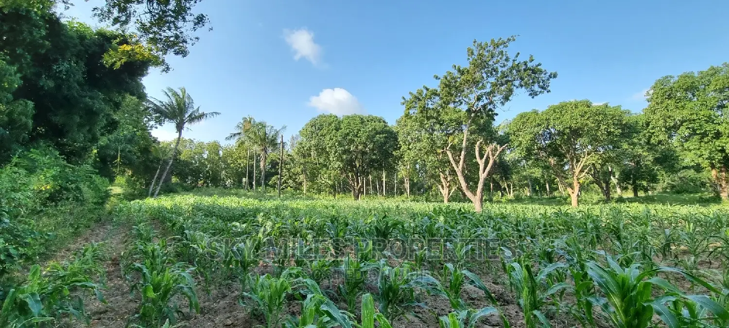 1 Acre Beachfront Land in Mtwapa - Second Row from the Shoreline for Sale in Mtwapa