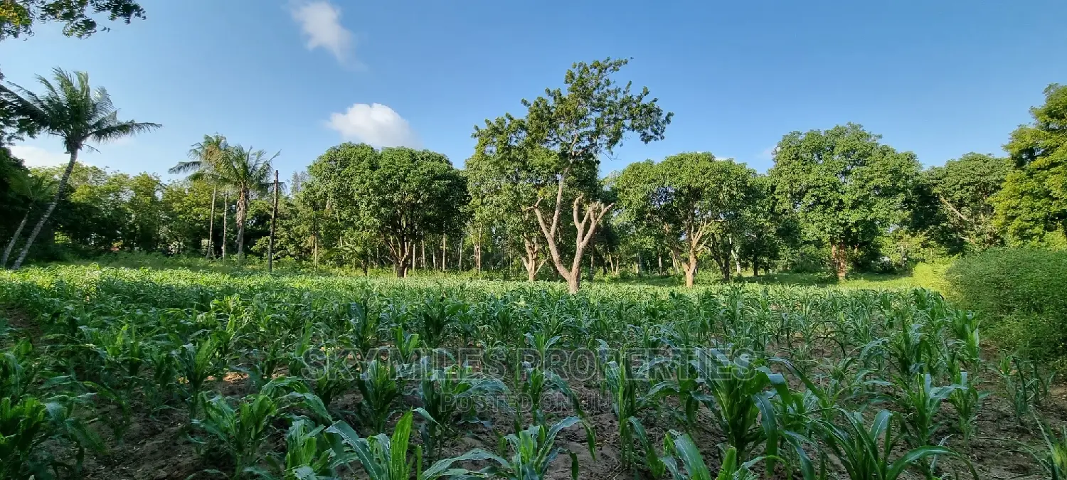 1 Acre Beachfront Land in Mtwapa - Second Row from the Shoreline for Sale in Mtwapa