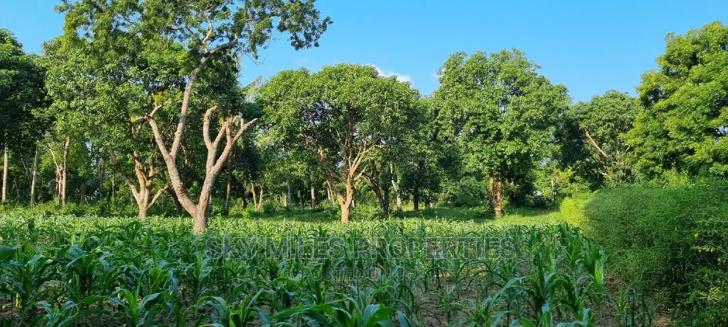 1 Acre Beachfront Land in Mtwapa - Second Row from the Shoreline for Sale in Mtwapa