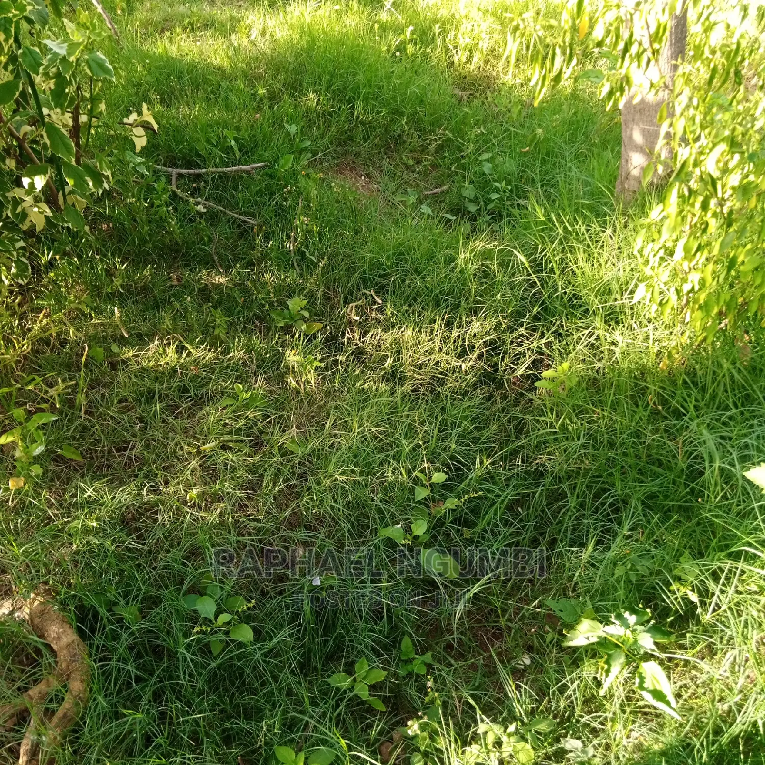A spacious 500 sqm corner plot with stunning views in Machakos Town