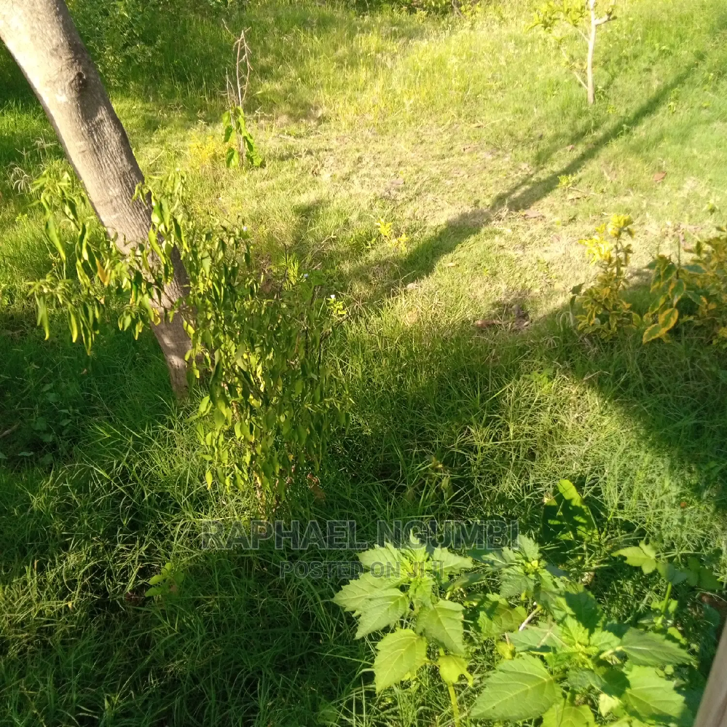 A spacious 500 sqm corner plot with stunning views in Machakos Town