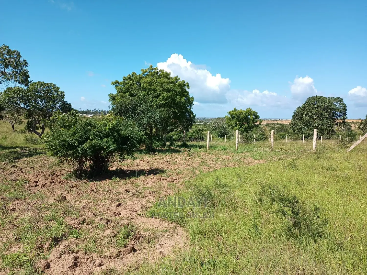Dongo Kundu 50x100 Plots: Invest in Your Future Today in Shika Adabu