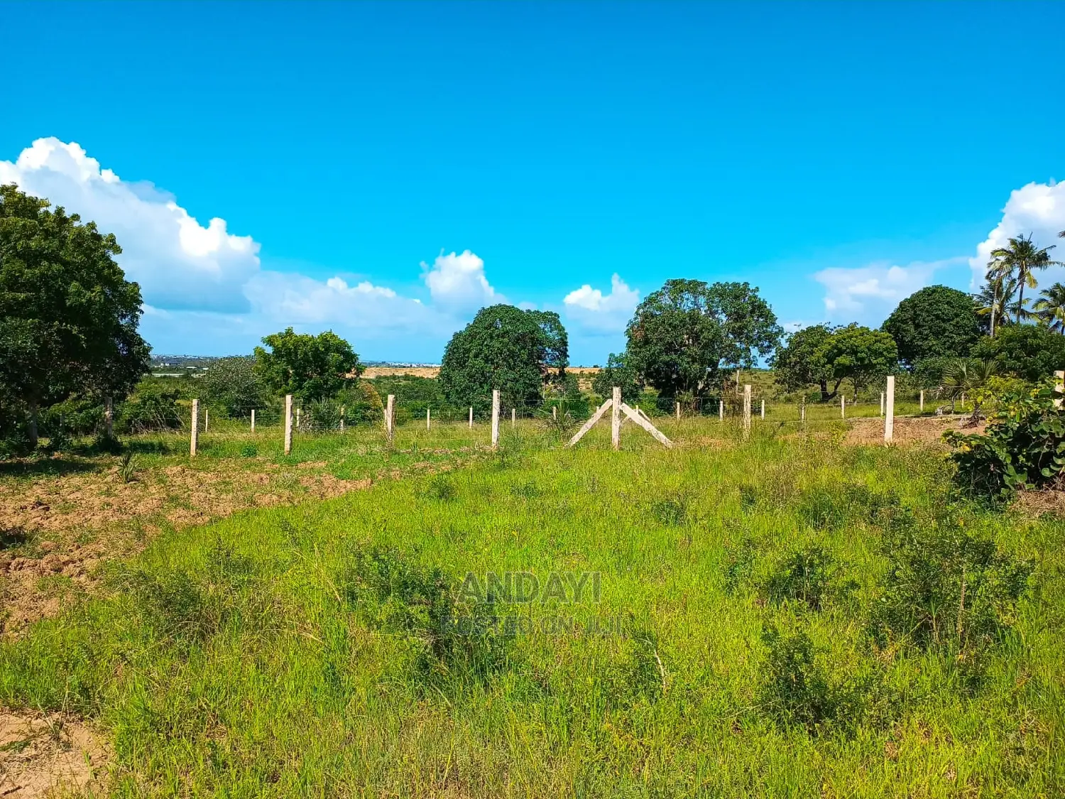 Dongo Kundu 50x100 Plots: Invest in Your Future Today in Shika Adabu