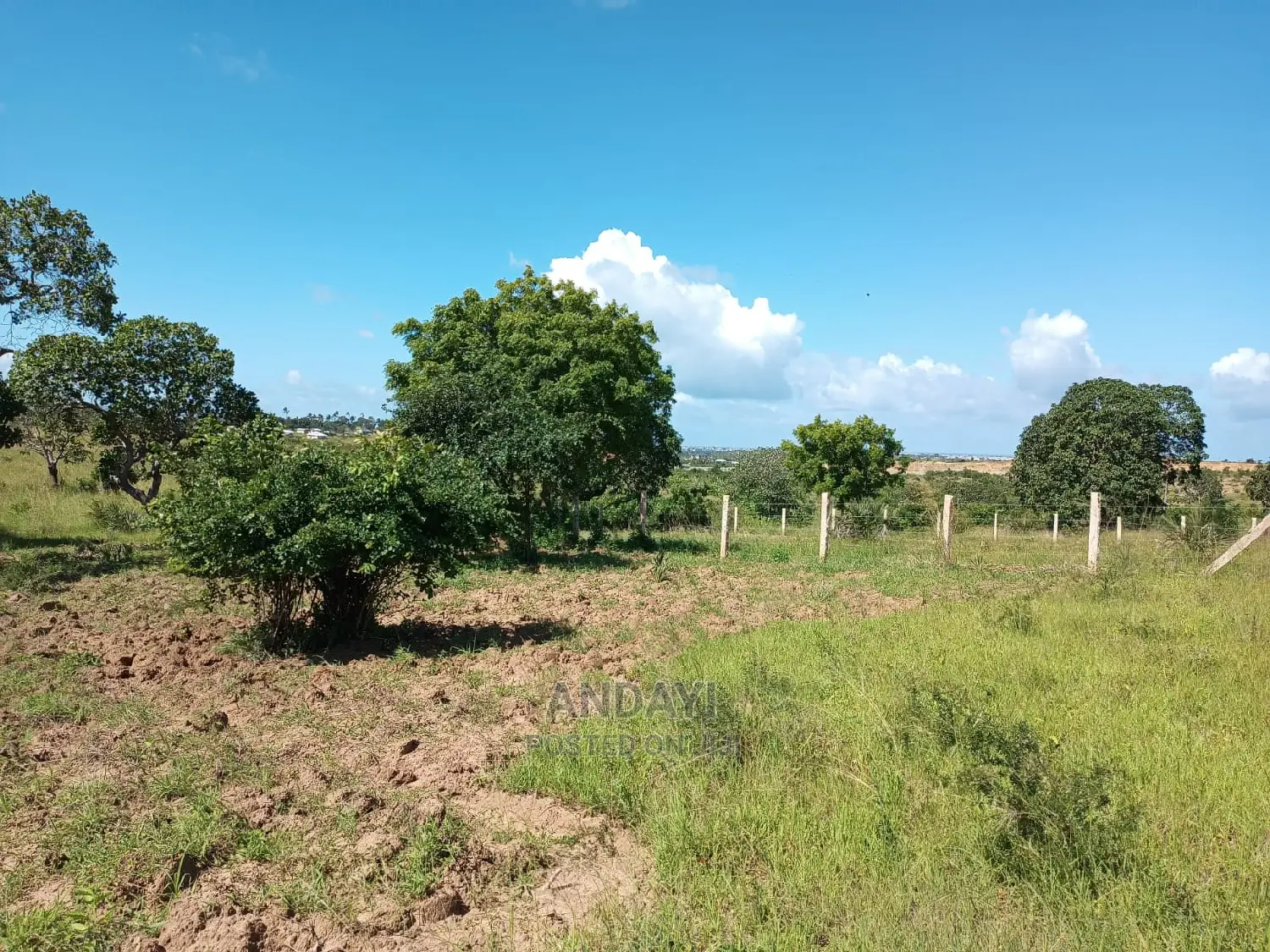 Dongo Kundu 50x100 Plots: Invest in Your Future Today in Shika Adabu