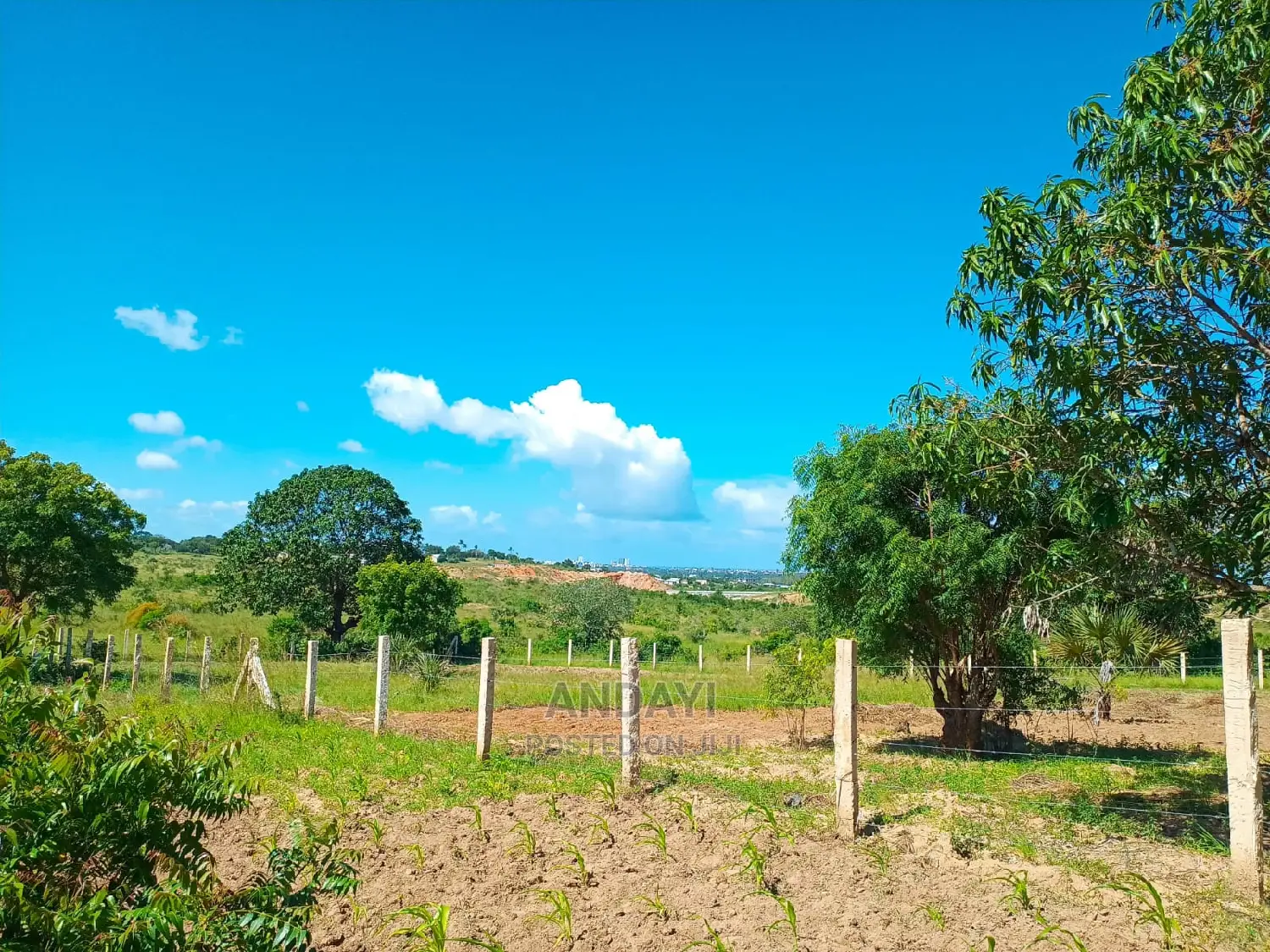 Dongo Kundu 50x100 Plots: Invest in Your Future Today in Shika Adabu