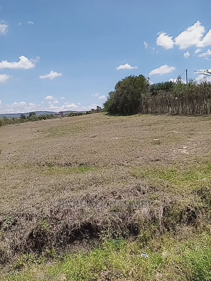 1-Acre Land for Sale in Kithini/Vota - Ideal Investment Opportunity in Machakos Town