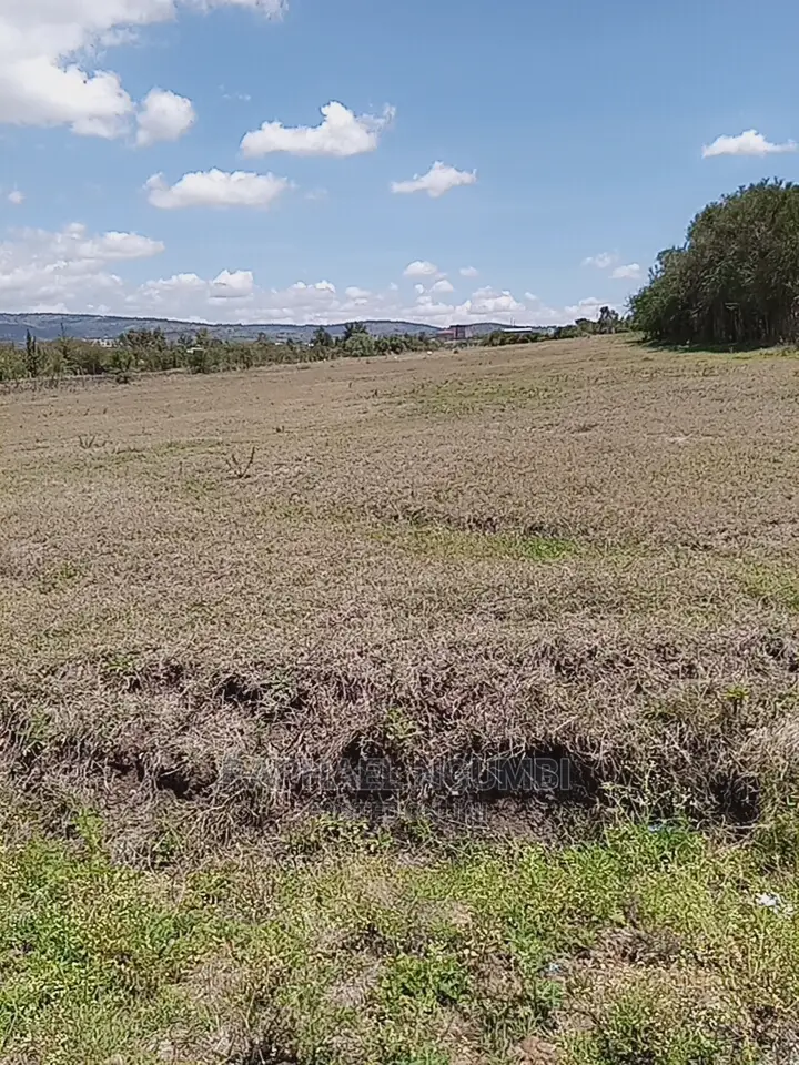 1-Acre Land for Sale in Kithini/Vota - Ideal Investment Opportunity in Machakos Town