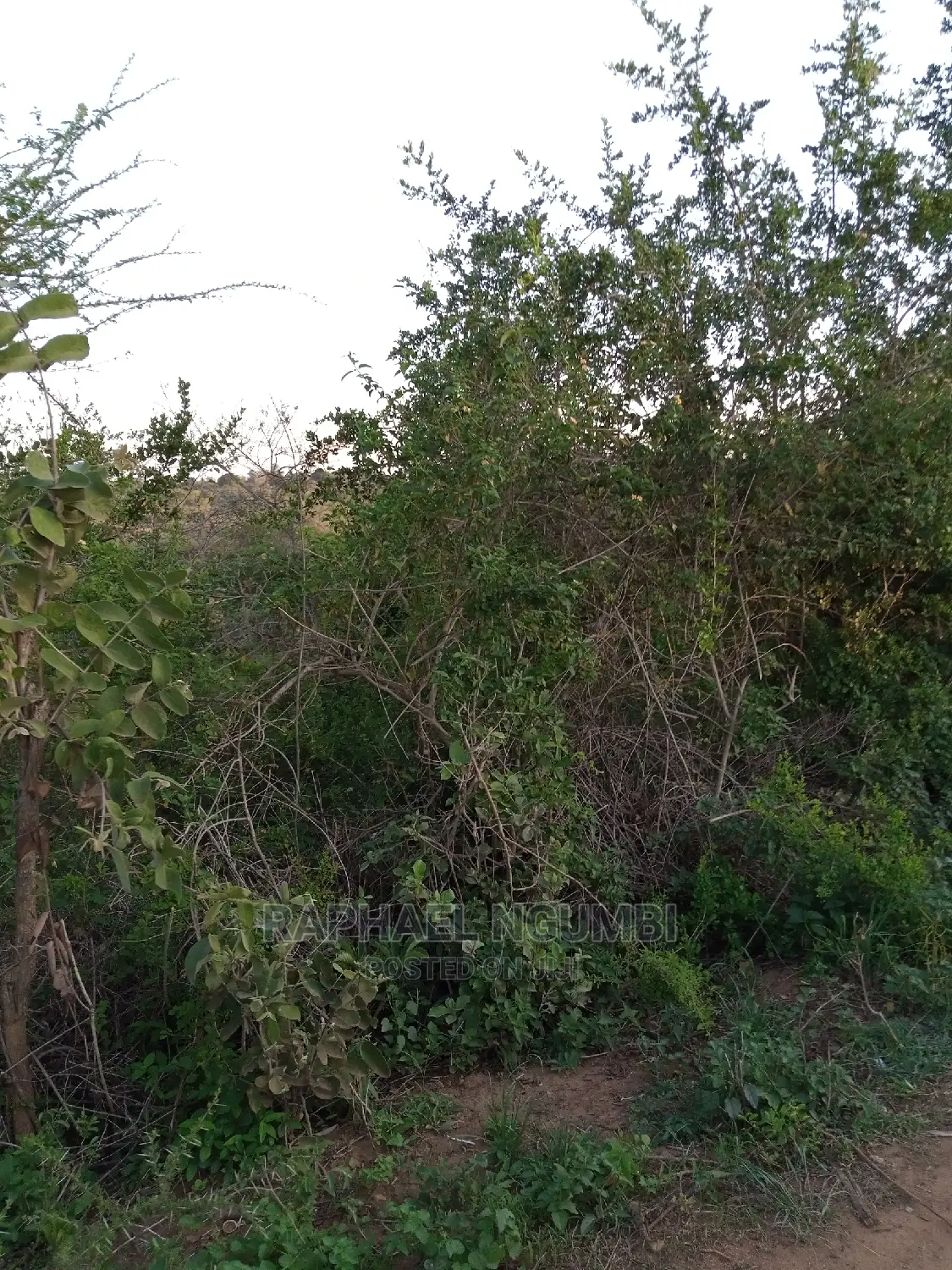 1-Acre Land for Sale in Kithini/Vota - Ideal Investment Opportunity in Machakos Town