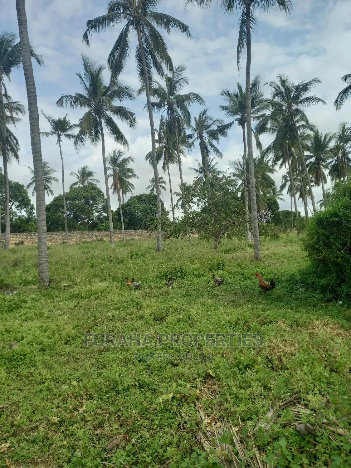 8 Acres Land in Mtwapa: Prime Property for Sale - Invest Today in Mtwapa