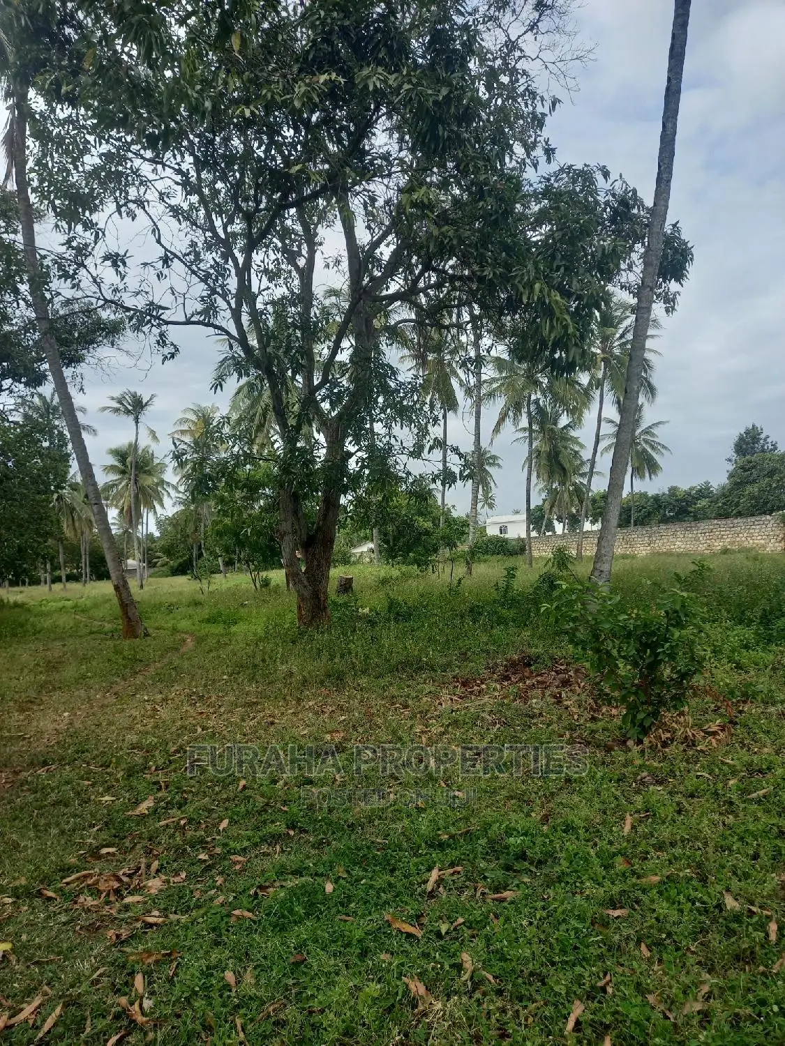 8 Acres Land in Mtwapa: Prime Property for Sale - Invest Today in Mtwapa