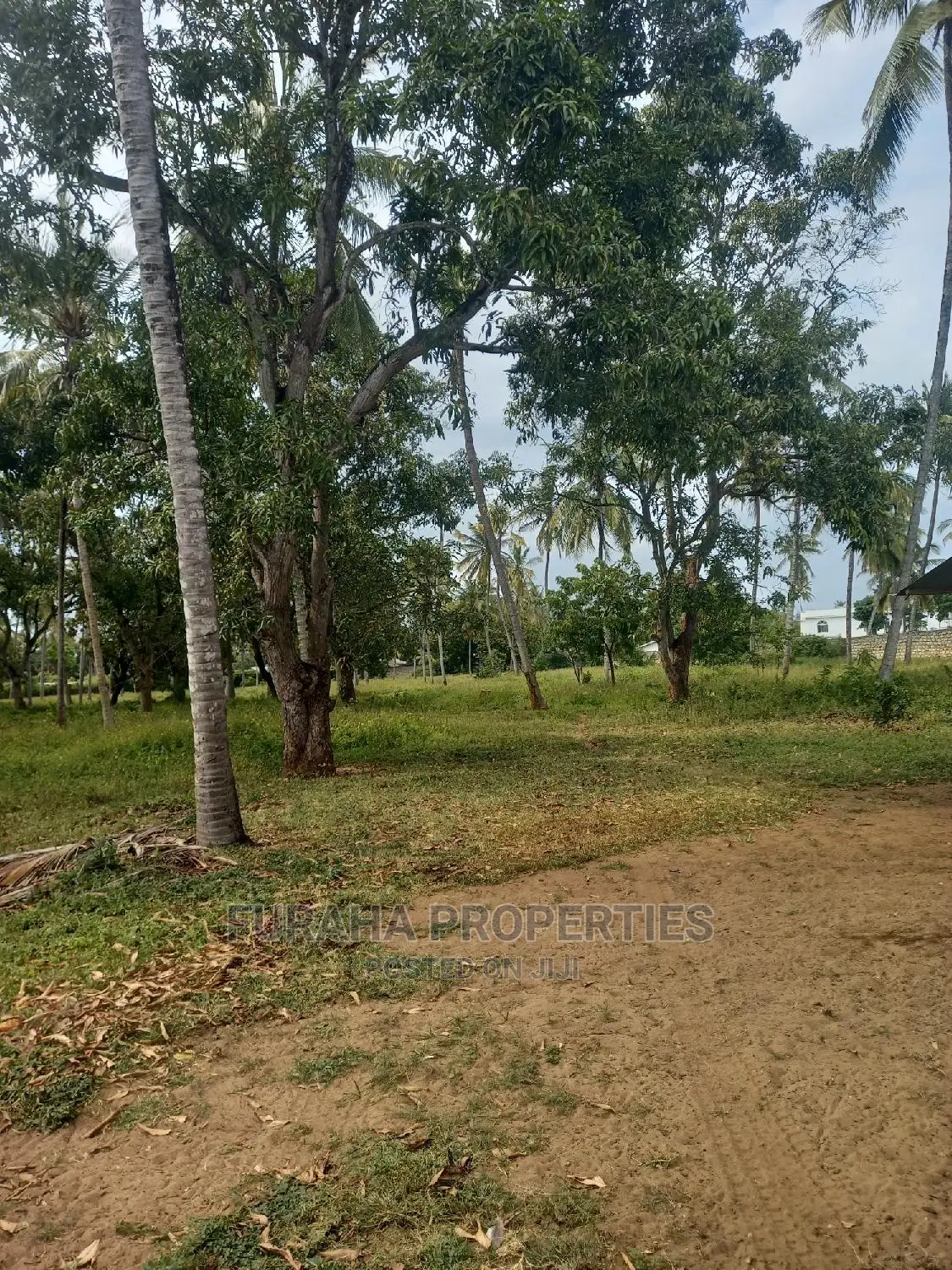 8 Acres Land in Mtwapa: Prime Property for Sale - Invest Today in Mtwapa