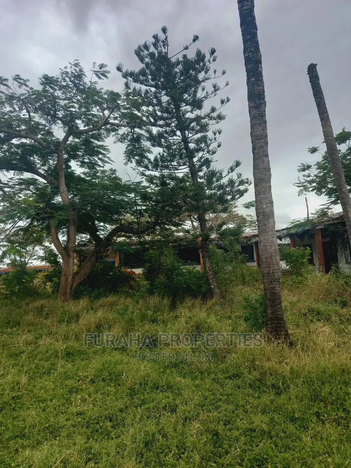 8 Acres Land in Mtwapa: Prime Property for Sale - Invest Today in Mtwapa