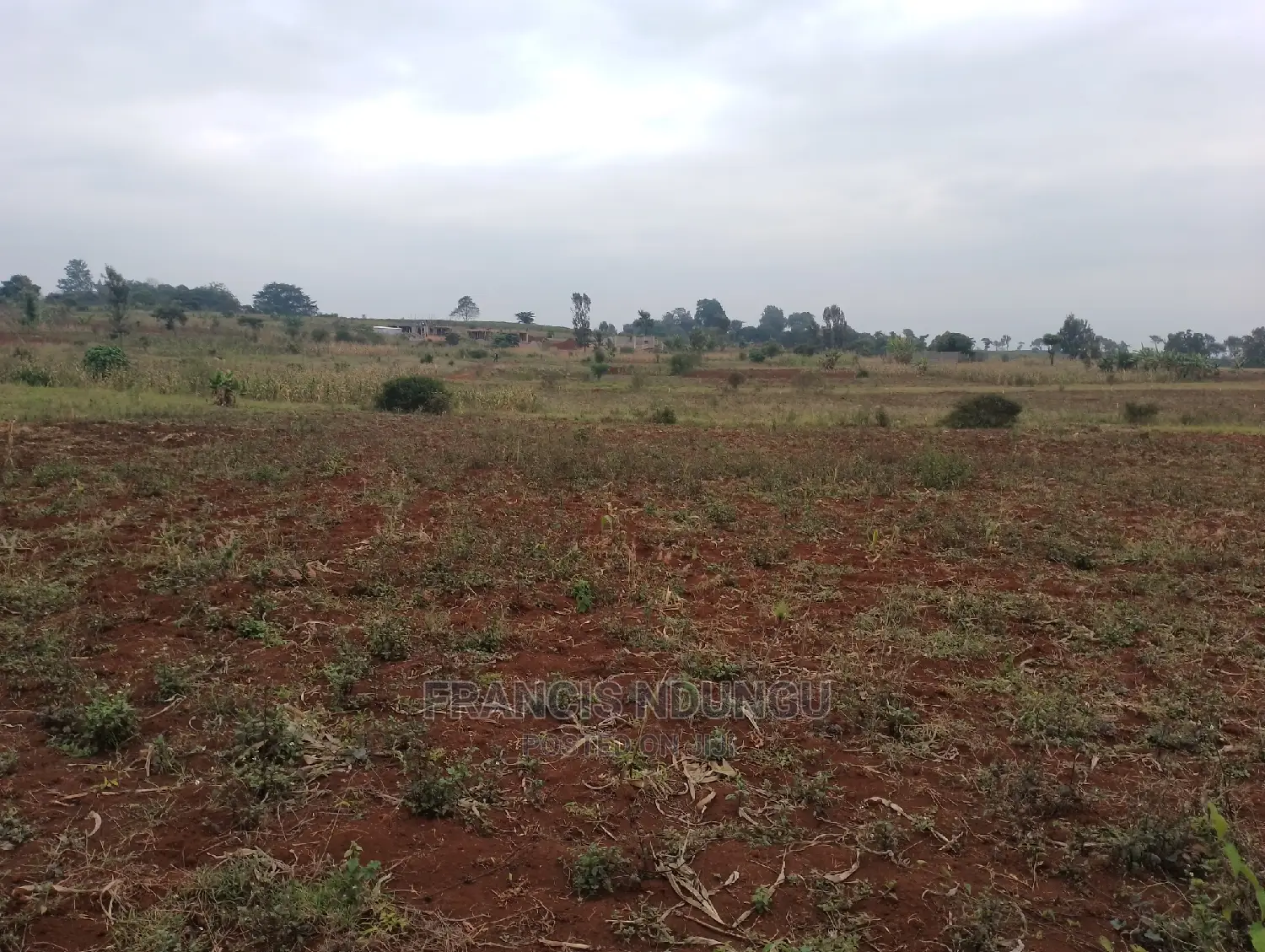Residential Plots for Sale Matrofi Estate Near Migaa Estate in Tinganga