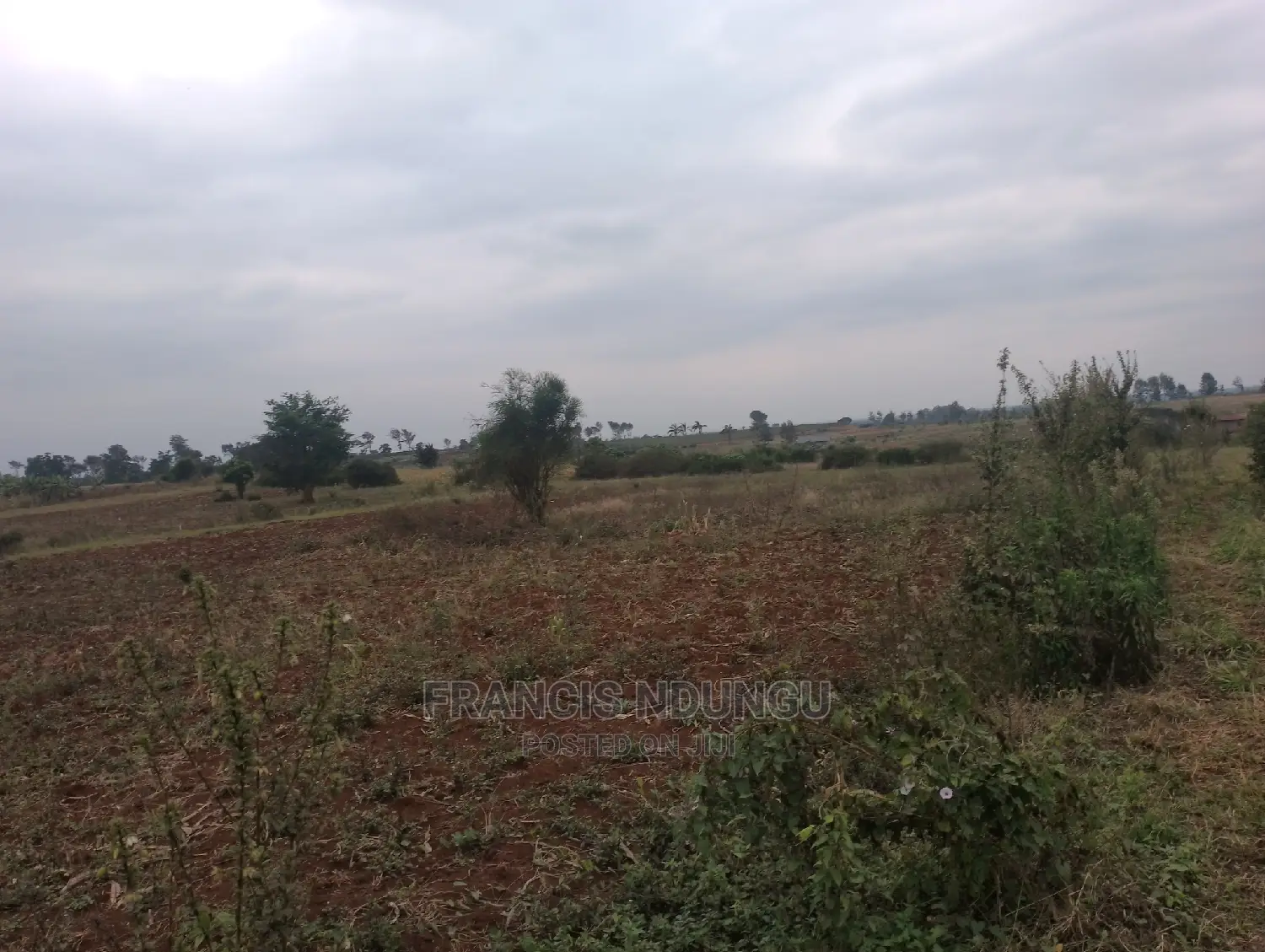 Residential Plots for Sale Matrofi Estate Near Migaa Estate in Tinganga