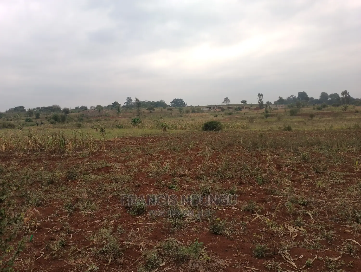 Residential Plots for Sale Matrofi Estate Near Migaa Estate in Tinganga