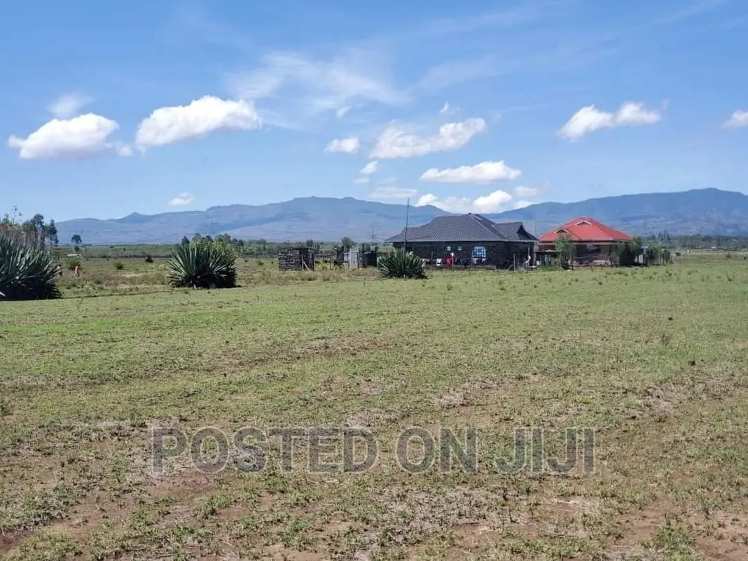 Kamulu Real Estate: 1/8 Acre Serviced Plots Now Available in Kamulu