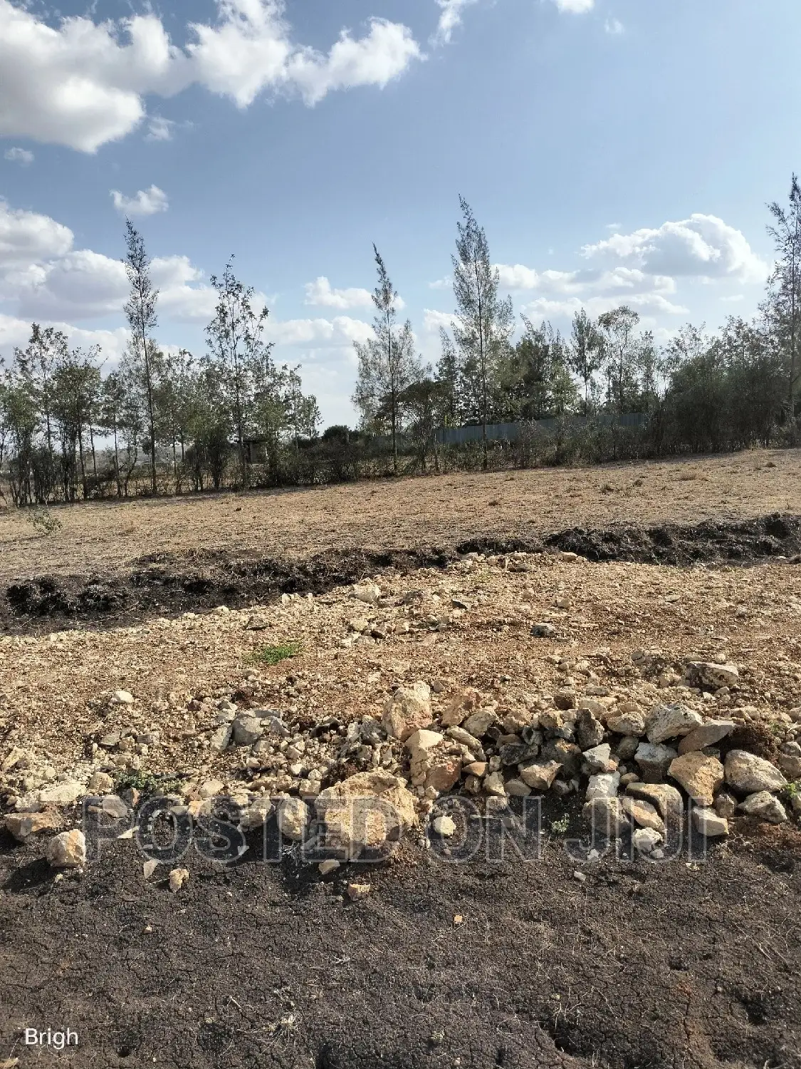 Kamulu Real Estate: 1/8 Acre Serviced Plots Now Available in Kamulu