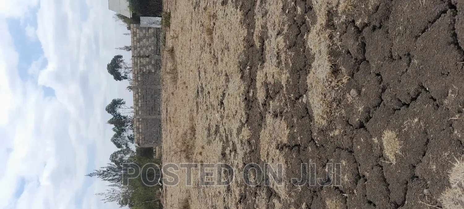 Plots in Jujafarm in Juja