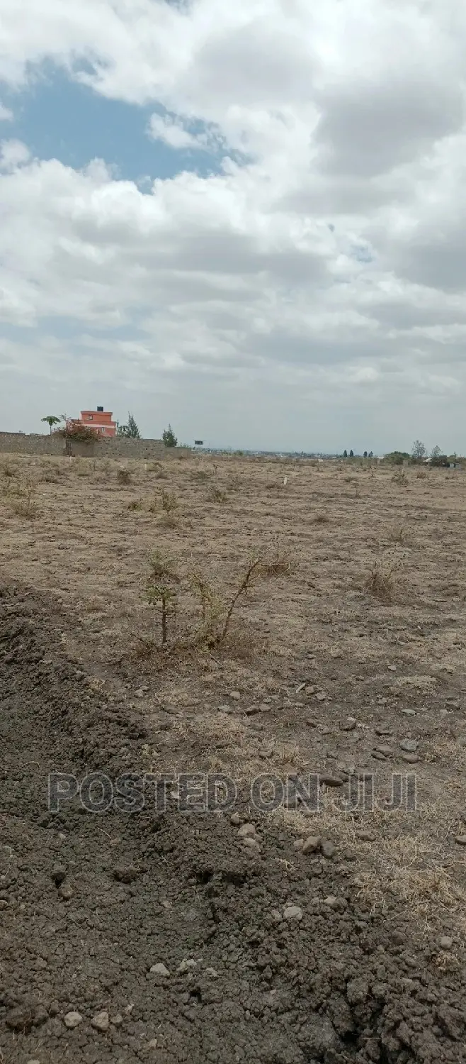 Ruiru Prime Residential Property 50*100 in Size in Kamakis