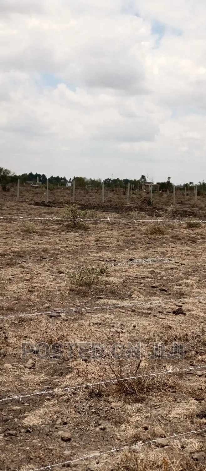 Ruiru Prime Residential Property 50*100 in Size in Kamakis